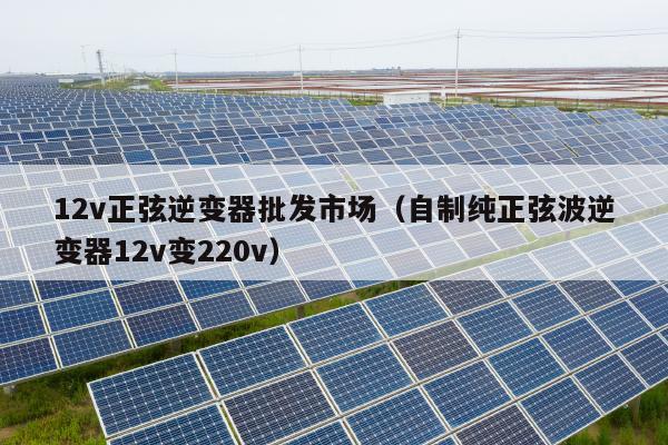 12v正弦逆变器批发市场（自制纯正弦波逆变器12v变220v）