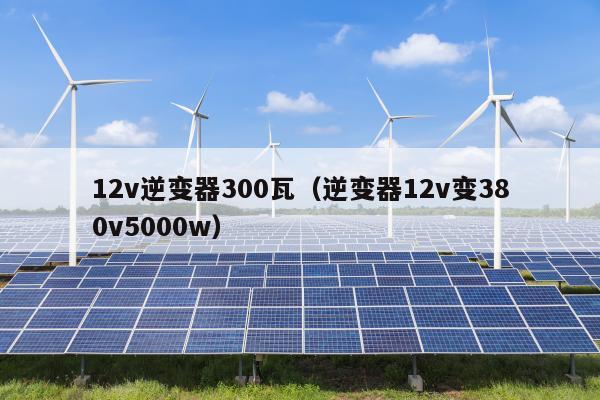 12v逆变器300瓦（逆变器12v变380v5000w）