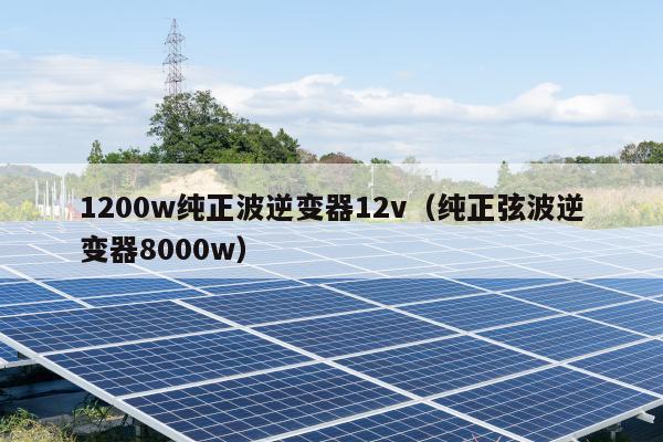 1200w纯正波逆变器12v（纯正弦波逆变器8000w）