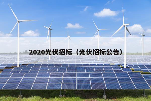 2020光伏招标（光伏招标公告）