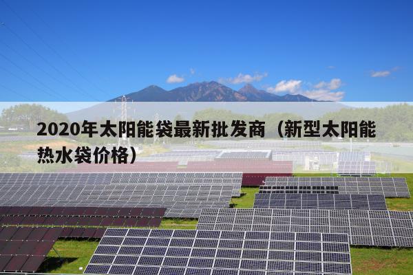 2020年太阳能袋最新批发商（新型太阳能热水袋价格）