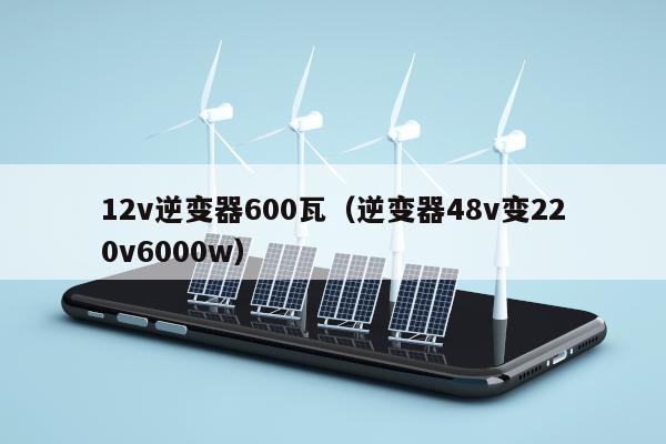 12v逆变器600瓦（逆变器48v变220v6000w）