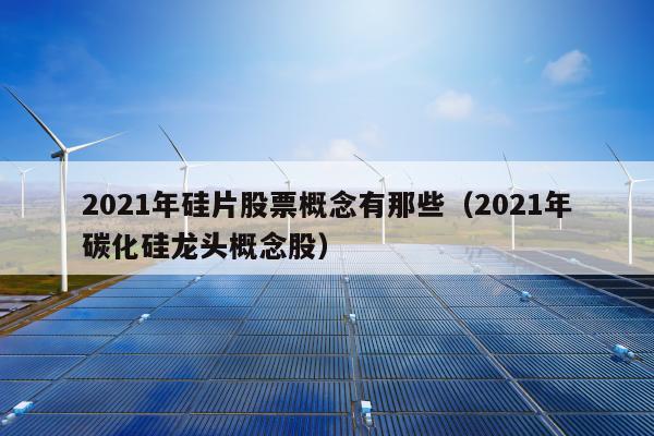 2021年硅片股票概念有那些（2021年碳化硅龙头概念股）