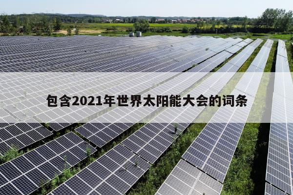 包含2021年世界太阳能大会的词条