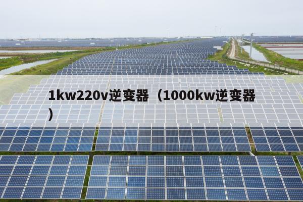 1kw220v逆变器（1000kw逆变器）