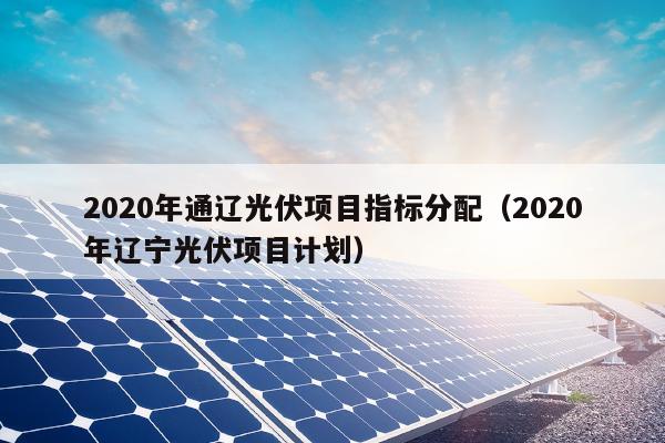 2020年通辽光伏项目指标分配（2020年辽宁光伏项目计划）