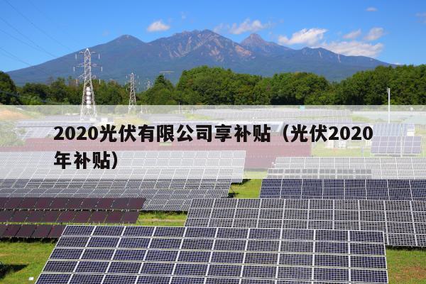 2020光伏有限公司享补贴（光伏2020年补贴）