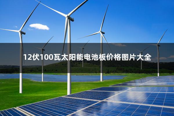 12伏100瓦太阳能电池板价格图片大全