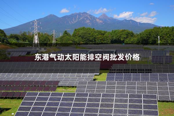 东港气动太阳能排空阀批发价格