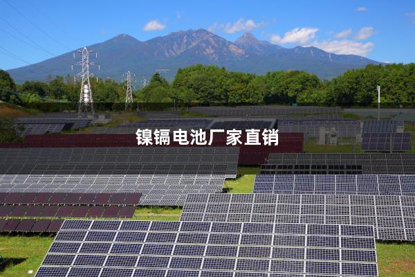 镍镉电池厂家直销