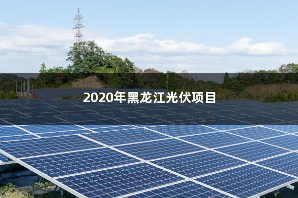 2020年黑龙江光伏项目