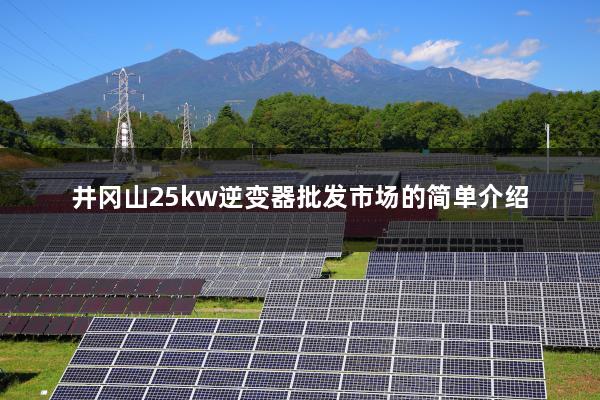 井冈山25kw逆变器批发市场的简单介绍