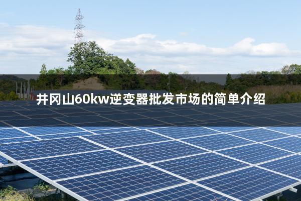 井冈山60kw逆变器批发市场的简单介绍