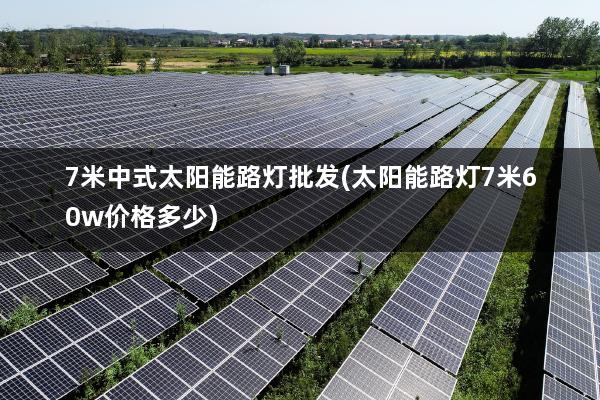 7米中式太阳能路灯批发(太阳能路灯7米60w价格多少)