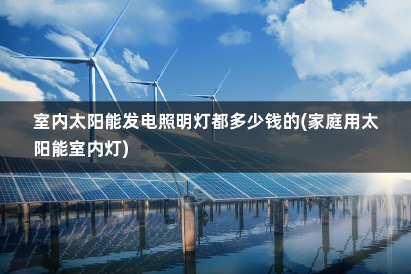 室内太阳能发电照明灯都多少钱的(家庭用太阳能室内灯)