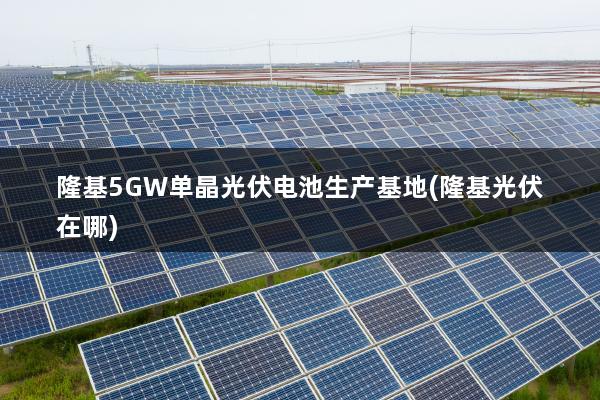 隆基5GW单晶光伏电池生产基地(隆基光伏在哪)