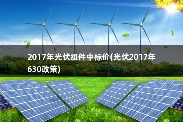 2017年光伏组件中标价(光伏2017年630政策)