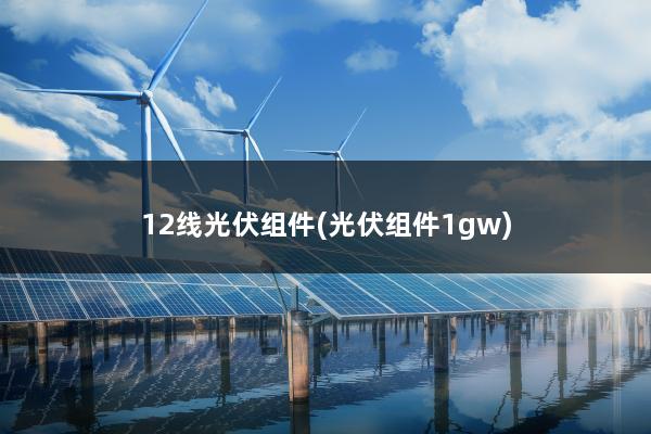 12线光伏组件(光伏组件1gw)